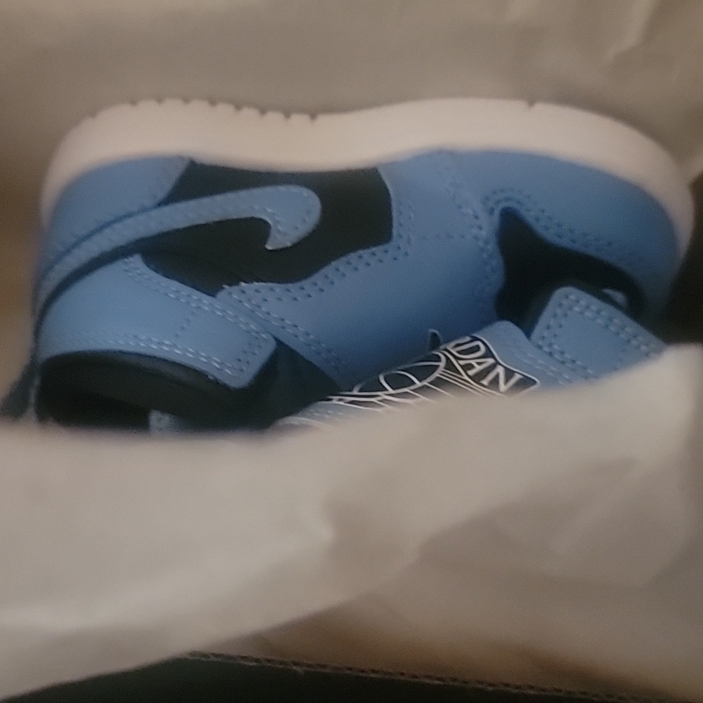 Sky Jordan 1